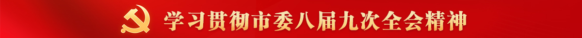 学习贯彻市委八届九次全会精神